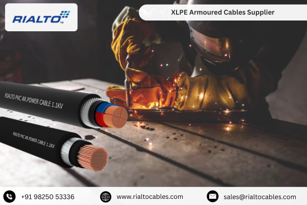 XLPE Armoured Cables Supplier